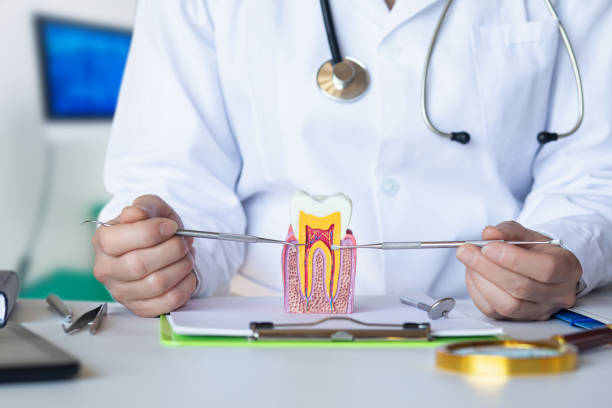 Best Tooth Pain Emergency Relief  in Farmerville, LA
